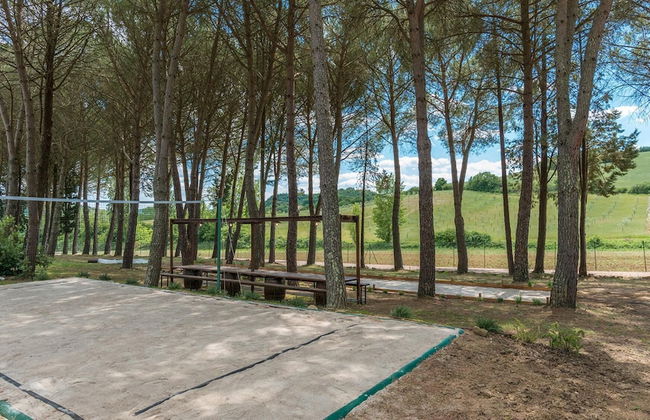 Podere Bellaria 18 2 - Foto 12