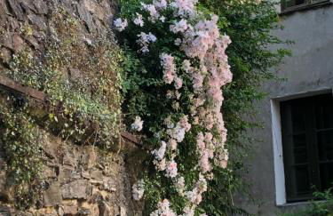 La Provence authentique à 30 minutes des plages - Foto 6