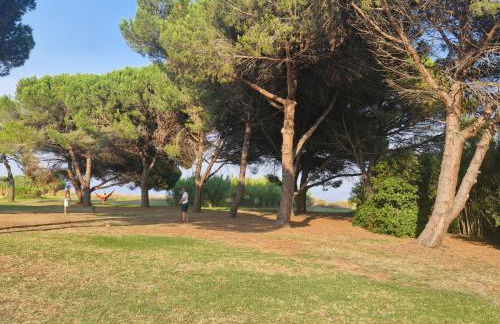 Casa Giul' Poggio Mezzana - Foto 51