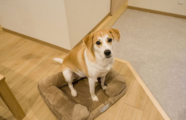 Rakuten STAY Nikko Hoden - Photo 43