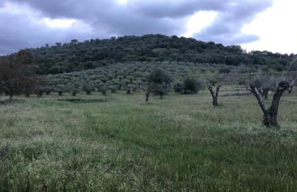 Monte de Stª Margarida - Foto 36