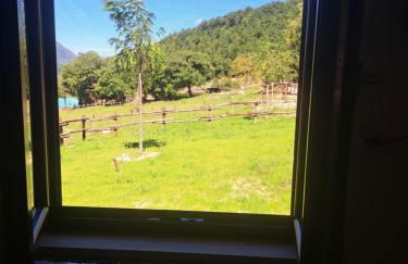 Agriturismo Natura e Gusto fattoria didattica - Foto 14