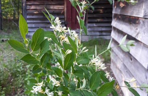 Deer Valley Retreat, Lovely Log Cabin with Fireplace & Garden Views- Perfect for a Relaxing Getaway! - Foto 6