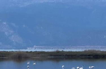 Villa Krina Rosa Aigio - Foto 67