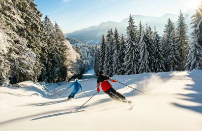 Exklusive FeWo AllgäuStern Steibis mit WLAN Sauna Kamin und Oberstaufen PLUS Card mit SKIPASS - Foto 50