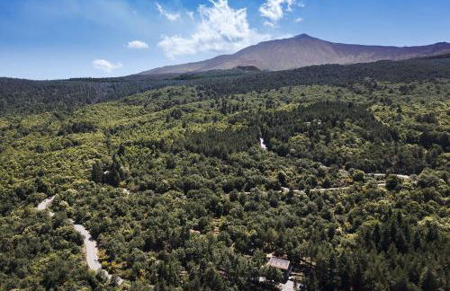 Gebel House - Foto 17