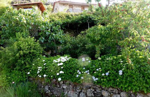 Casa da Eira Velha - Foto 34