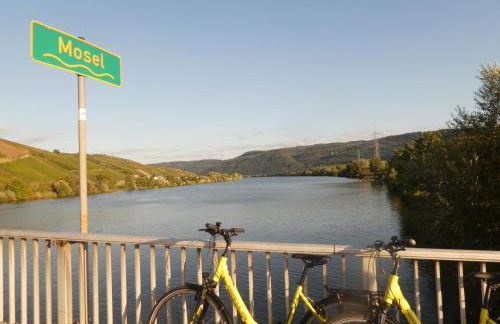 Hausboot Moselrose in Pölich - Foto 37