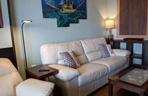 Tortuga Flat - Photo 8