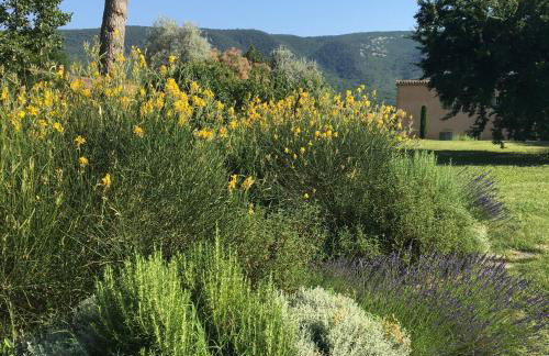 Domaine de la Bastidonne - Foto 71