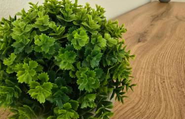 Ruhiges Apartment nähe Bahnhof HILTI - Foto 22