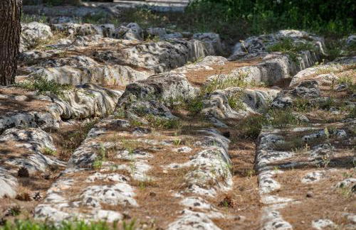 Torre Casciani - Foto 48