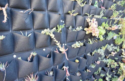 Bella's House 4 com Piscina - Foto 26