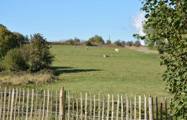 Holiday Home in Gedinne With Forest - Foto 32