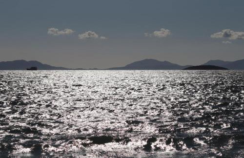 SeasoundStudios - Photo 23