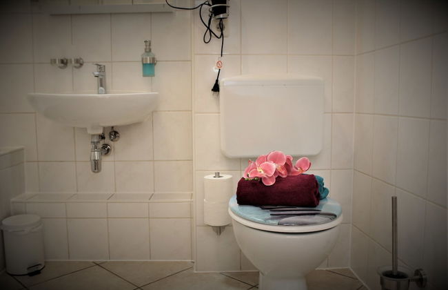 Ferienwohnungen Salzhausblick - Foto 59