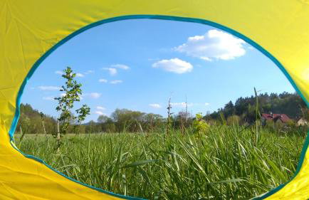 Organistowka - Foto 9