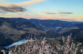 Andar Moradia T4 na Casa do Olival - Foto 32