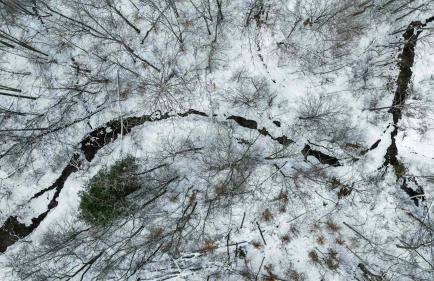 Modern Tiny Home Wraparound Deck - Foto 62