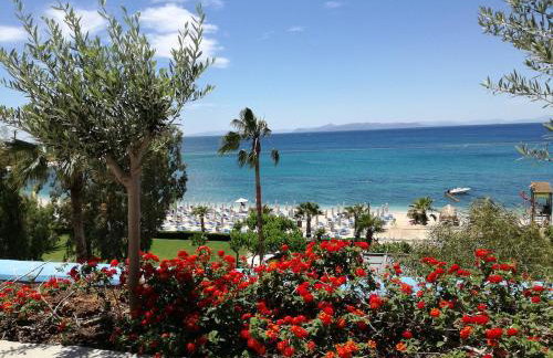 Sunshine Bliss Apartment - Foto 21