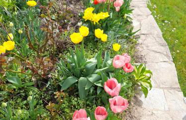 Ferienwohnungen Thomsen Bergdorf Pobershau - Foto 50
