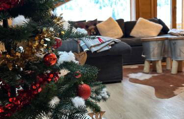 La Rose des neiges à Châtel - Foto 14