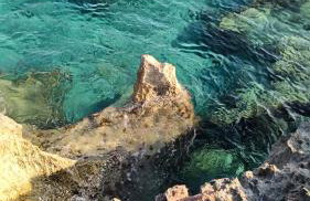 Villa Eugenia - Foto 35