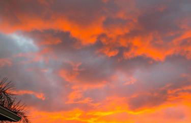 Affordable Luxury on One Acre - Foto 36