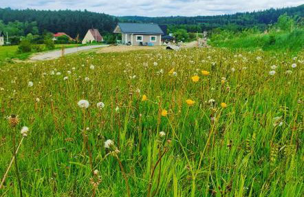 Domek Polna Cisza Bieszczady - Foto 29