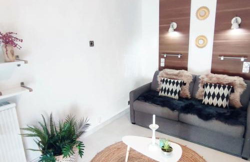 T2 climatisé Montpellier proche du tramway et centre commercial - Photo 14