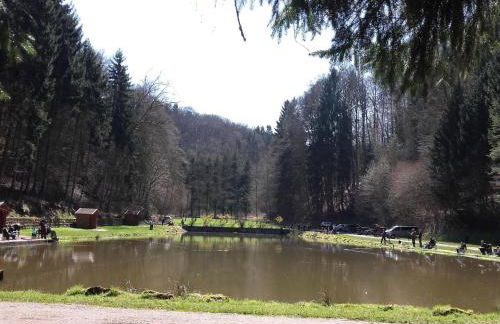 Apartment LES BRIMBELLES by Interhome - Foto 17