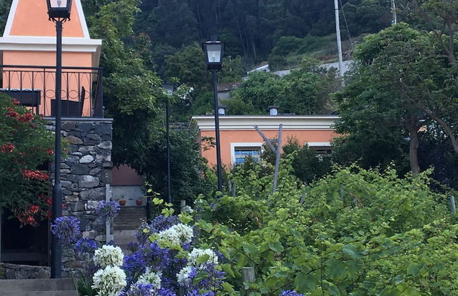 Quinta Paços do Lago - Foto 27