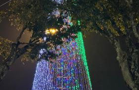 FERREIRA'S HOUSE Viana do Castelo - Foto 15