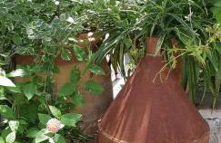 Kyfanta, studios & apartments in Kyparissi - Photo 25