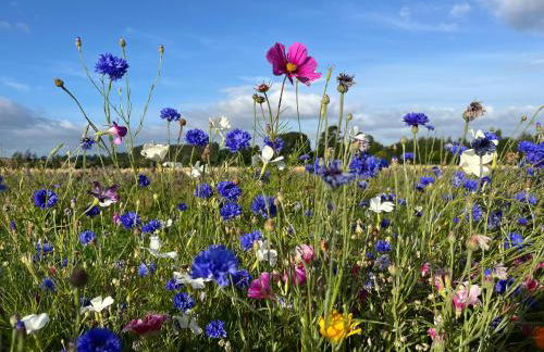 Eden Hideaway - Foto 34