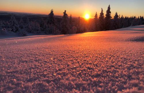 Ferienhaus Hentzschel - Foto 19