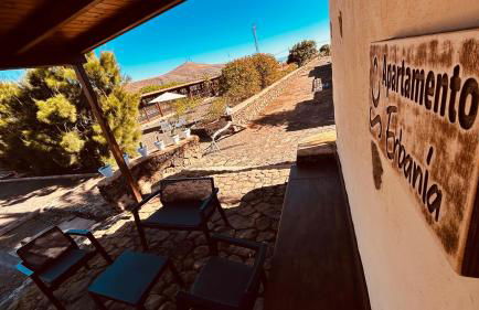 Erbania Heritage, naturally - Foto 16