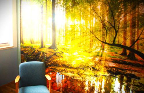 Behagliches Ferienhaus Zaunkönig -mit Kamin und Sauna- Blick über das romantische Bodetal - Foto 11