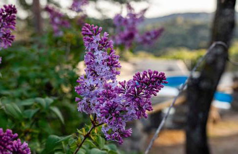 Chalet con piscina en Torrelodones - Foto 20