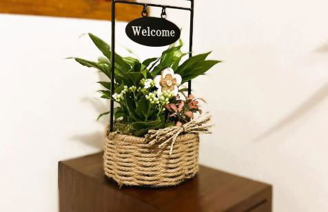 Ausugum Apartments - Centralissimo Chic - Foto 17