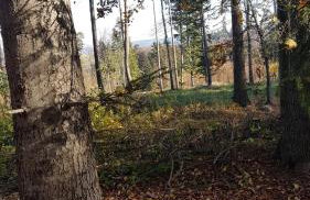 Wichrowe Wzgórze - Foto 31