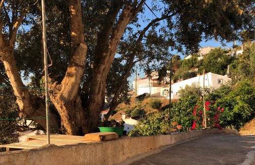 Casa Anneli - relaxing under the olive tree - Foto 34