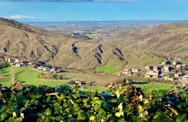 Castello di Viano - Foto 62