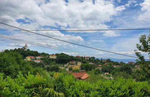 Fran Opatija - Photo 3