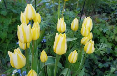 Charmante Einliegerwohnung - Foto 16