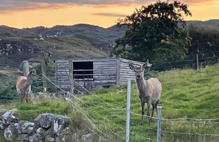 Beautiful cottage in a wonderful Highland setting - Foto 20