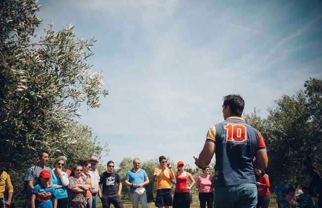 Visita di un oliveto ecologico + Degustazione di olio - Foto 5