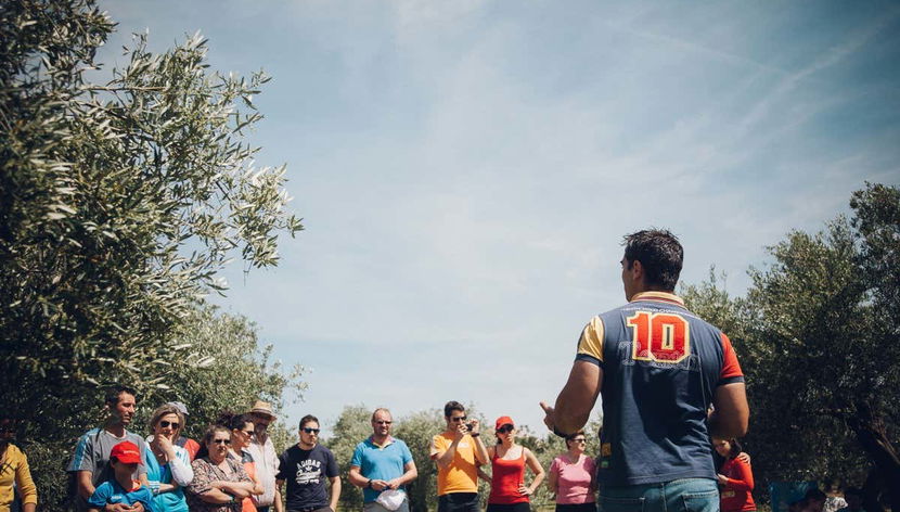 Olive Grove Tour + Olive Oil Tasting - Foto 2