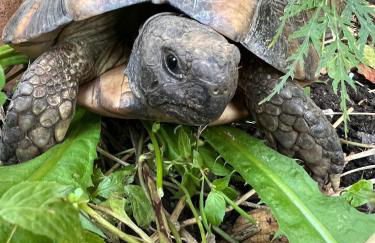 Appartement am Teich - Foto 11