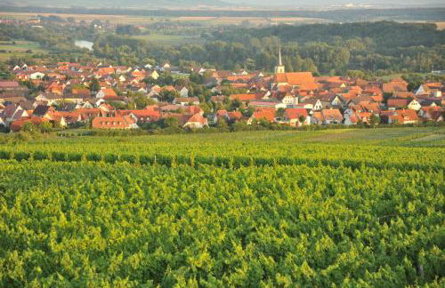 Ferienwohnungen TonArt - modern & stilvoll im Weinort Sommerach - Foto 26